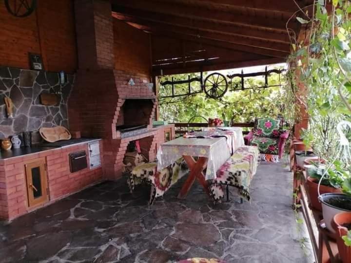 Pensiunea Brezu Sighetu Marmaţiei Dış mekan fotoğraf
