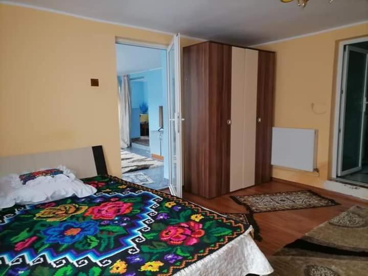 Pensiunea Brezu Sighetu Marmaţiei Dış mekan fotoğraf