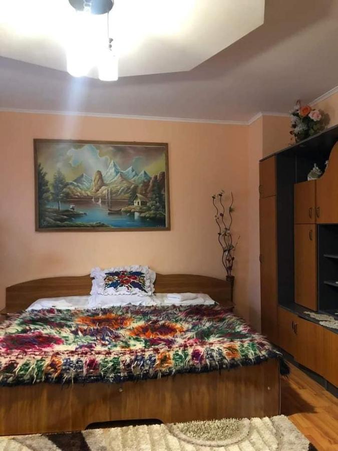 Pensiunea Brezu Sighetu Marmaţiei Dış mekan fotoğraf