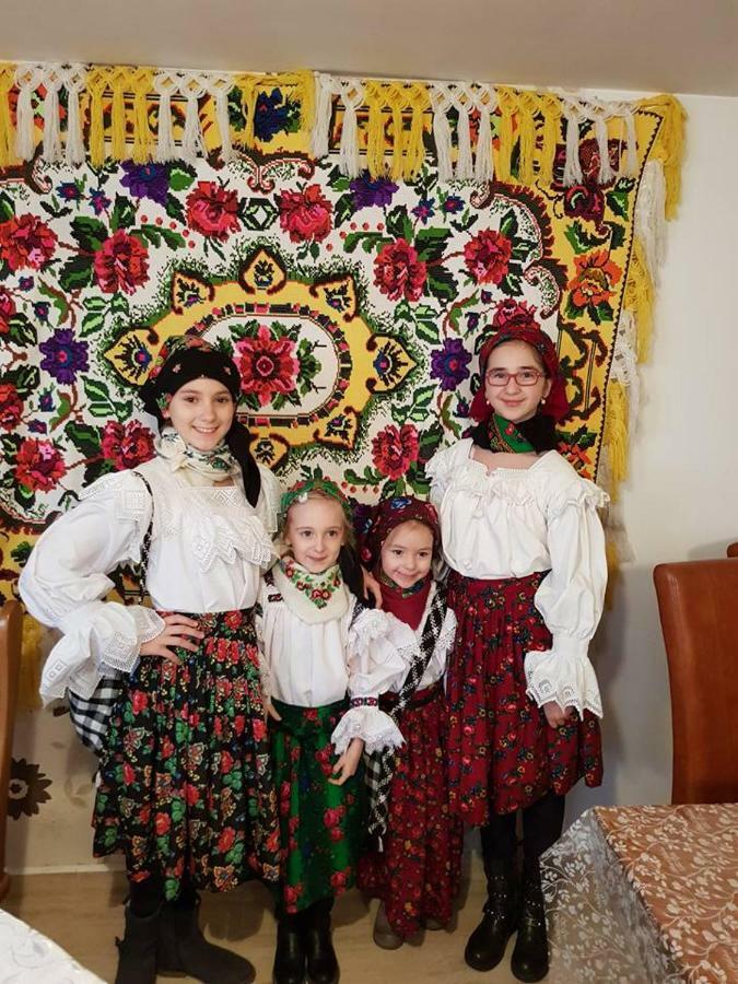 Pensiunea Brezu Sighetu Marmaţiei Dış mekan fotoğraf