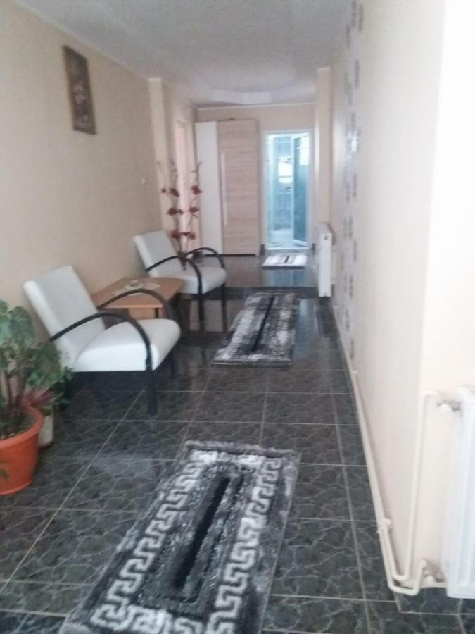 Pensiunea Brezu Sighetu Marmaţiei Dış mekan fotoğraf