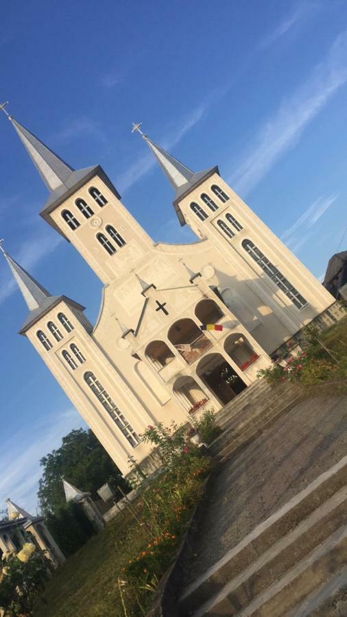 Pensiunea Brezu Sighetu Marmaţiei Dış mekan fotoğraf